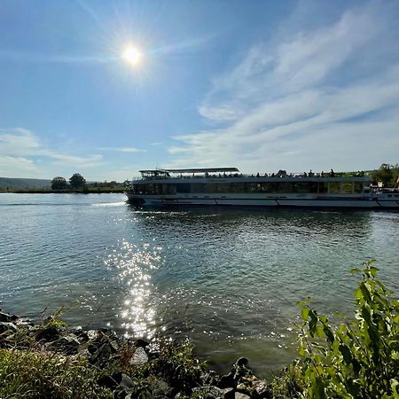 Chalet An Der Donau Direkt Bei Regensburg, 5 Sterne Dtv Pentling 外观 照片