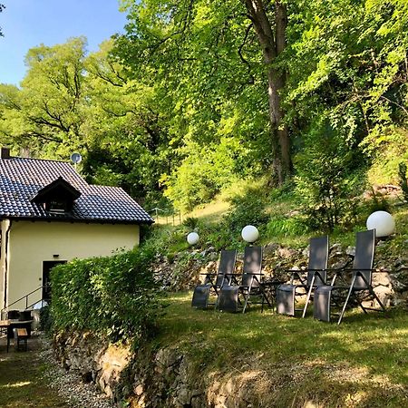 Chalet An Der Donau Direkt Bei Regensburg, 5 Sterne Dtv Pentling 外观 照片